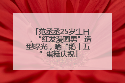 范丞丞25岁生日，“红发漫画男”造型曝光，晒“鹅十五”蛋糕庆祝