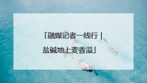 融媒记者一线行｜盐碱地上麦香溢