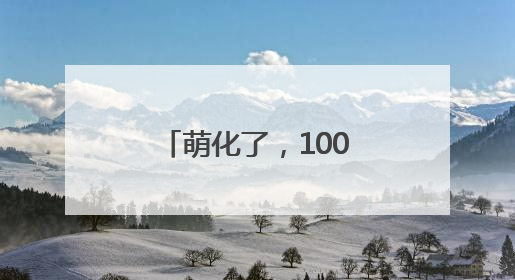 萌化了，100只狗狗海上肖像摄影展6月中旬“黄海明珠”开放