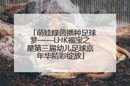 萌娃绿茵播种足球梦——LHK福宝之星第三届幼儿足球嘉年华精彩绽放