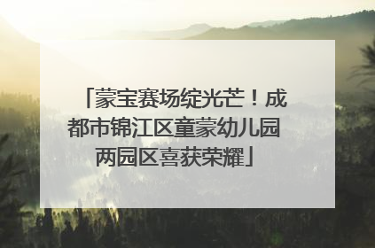 蒙宝赛场绽光芒！成都市锦江区童蒙幼儿园两园区喜获荣耀