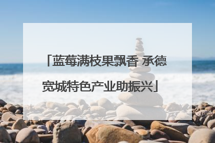蓝莓满枝果飘香 承德宽城特色产业助振兴