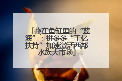 藏在鱼缸里的“蓝海”：拼多多“千亿扶持”加速激活西部水族大市场