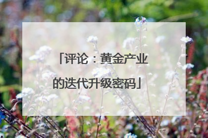 评论：黄金产业的迭代升级密码