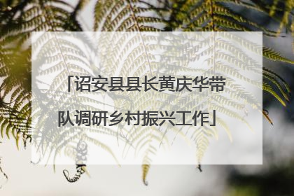诏安县县长黄庆华带队调研乡村振兴工作