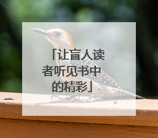 让盲人读者听见书中的精彩