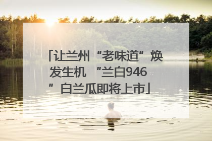 让兰州“老味道”焕发生机 “兰白946”白兰瓜即将上市