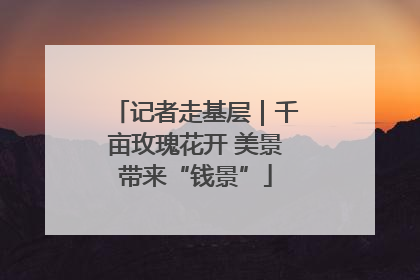 记者走基层｜千亩玫瑰花开 美景带来“钱景”