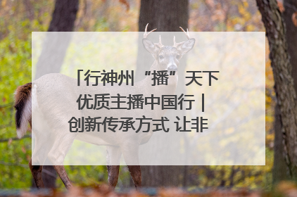 行神州“播”天下 优质主播中国行｜创新传承方式 让非遗“活”在当下