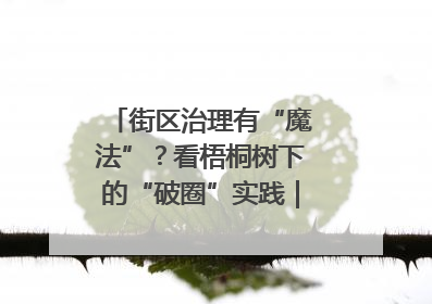 街区治理有“魔法”？看梧桐树下的“破圈”实践｜我在街区当书记