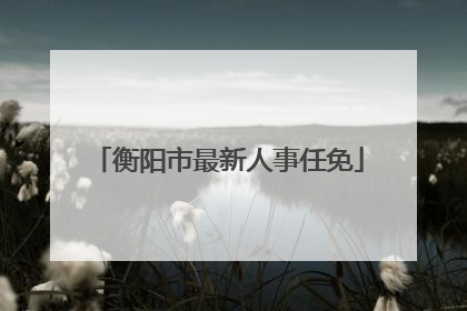 衡阳市最新人事任免
