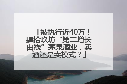 被执行近40万！肆拾玖坊“第二增长曲线”茅泉酒业，卖酒还是卖模式？