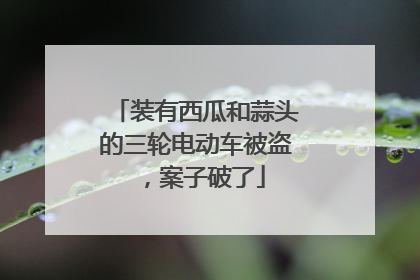 装有西瓜和蒜头的三轮电动车被盗，案子破了