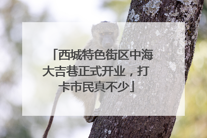 西城特色街区中海大吉巷正式开业，打卡市民真不少