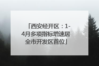 西安经开区：1-4月多项指标增速居全市开发区首位