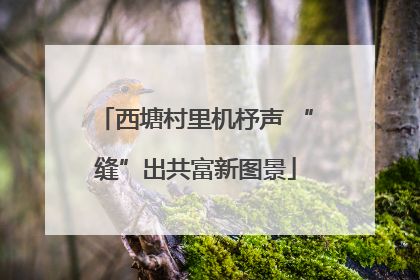 西塘村里机杼声 “缝”出共富新图景