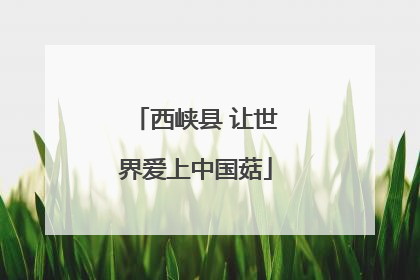 西峡县 让世界爱上中国菇