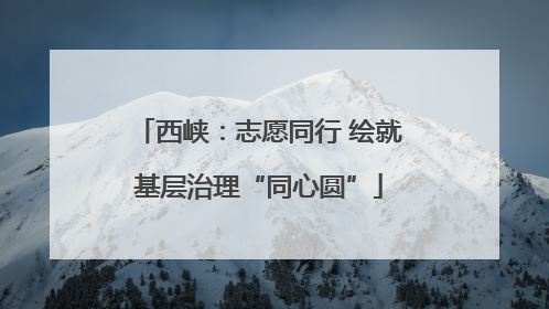 西峡：志愿同行 绘就基层治理“同心圆”