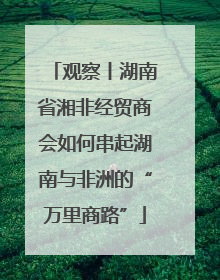 观察丨湖南省湘非经贸商会如何串起湖南与非洲的“万里商路”
