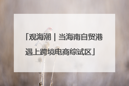 观海潮｜当海南自贸港遇上跨境电商综试区