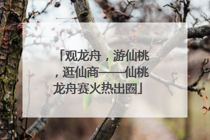 观龙舟，游仙桃，逛仙商——仙桃龙舟赛火热出圈
