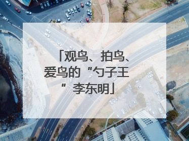 观鸟、拍鸟、爱鸟的“勺子王”李东明