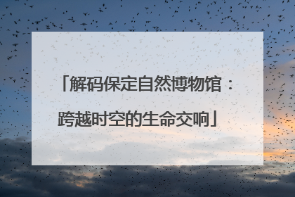 解码保定自然博物馆：跨越时空的生命交响
