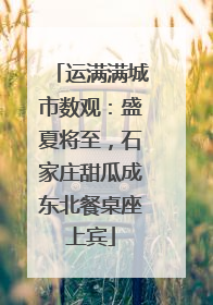 运满满城市数观：盛夏将至，石家庄甜瓜成东北餐桌座上宾