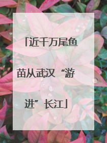 近千万尾鱼苗从武汉“游进”长江
