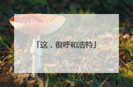 这，很呼和浩特