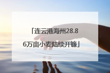 连云港海州28.86万亩小麦陆续开镰