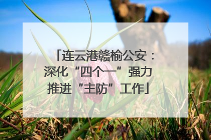 连云港赣榆公安：深化“四个一”强力推进“主防”工作