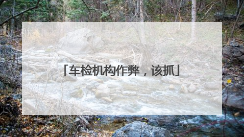 车检机构作弊，该抓