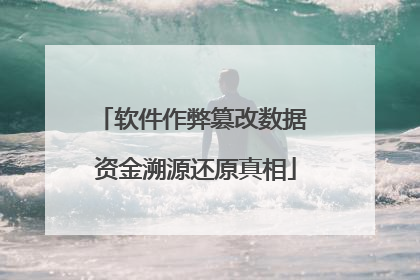 软件作弊篡改数据 资金溯源还原真相