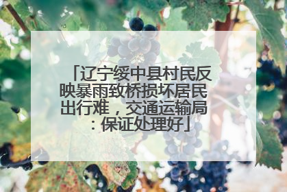 辽宁绥中县村民反映暴雨致桥损坏居民出行难，交通运输局：保证处理好