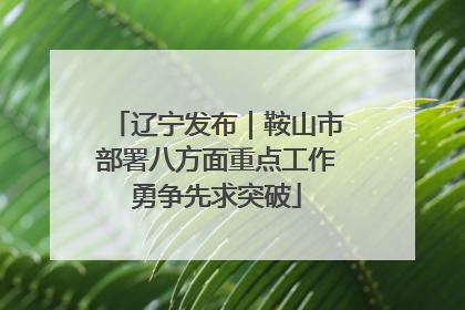 辽宁发布｜鞍山市部署八方面重点工作勇争先求突破