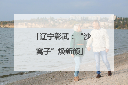 辽宁彰武：“沙窝子”焕新颜