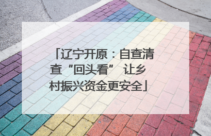 辽宁开原：自查清查“回头看” 让乡村振兴资金更安全