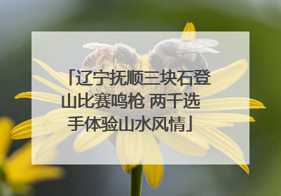 辽宁抚顺三块石登山比赛鸣枪 两千选手体验山水风情