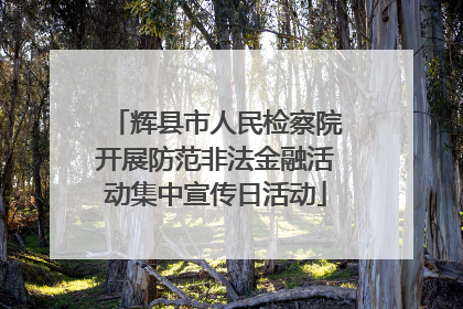 辉县市人民检察院开展防范非法金融活动集中宣传日活动