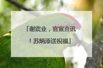 谢震业，官宣喜讯！苏炳添送祝福