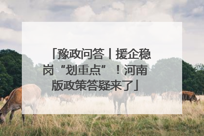 豫政问答丨援企稳岗“划重点”！河南版政策答疑来了