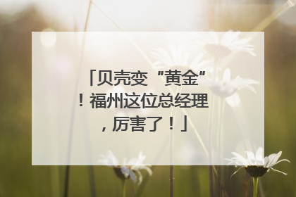贝壳变“黄金”！福州这位总经理，厉害了！