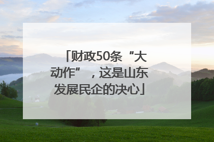 财政50条“大动作”，这是山东发展民企的决心