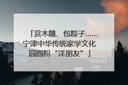 赏木雕、包粽子……宁津中华传统家学文化园圈粉“洋朋友”