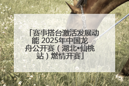 赛事搭台激活发展动能 2025年中国龙舟公开赛（湖北•仙桃站）燃情开赛
