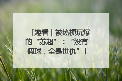 趣看｜被热梗玩爆的“苏超”：“没有假球，全是世仇”