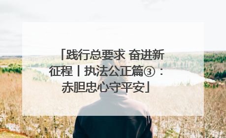 践行总要求 奋进新征程丨执法公正篇③：赤胆忠心守平安