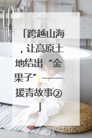 跨越山海，让高原土地结出“金果子”——援青故事②