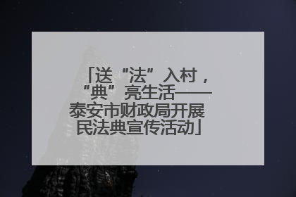 送“法”入村，“典”亮生活——泰安市财政局开展民法典宣传活动